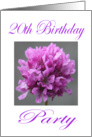 Happy 20 th Birthday Party Invitation Purple Flower card