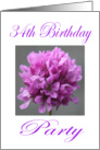 Happy 34 th Birthday Party Invitation Purple Flower card