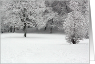 Snow and trees card