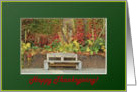 Thanksgiving bench and flowers card