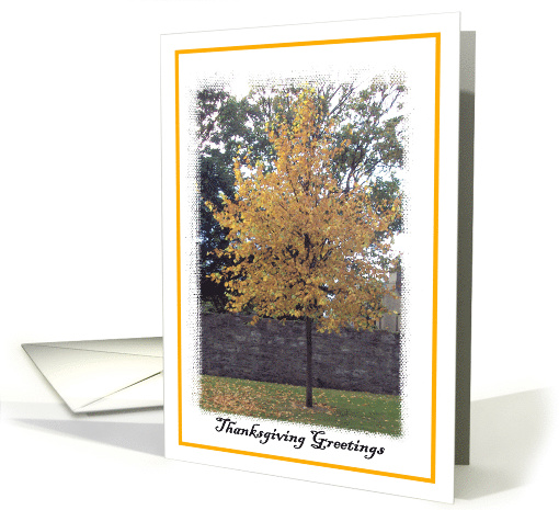 Autumn Tree card (515538)