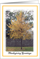 Autumn Tree card