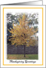 Autumn Tree card