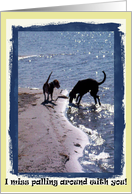 Friendship puppies card