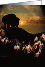 Spiritual New Year’s Day with Buffalo and Wild Horses, Native American card