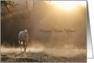 Happy New Year Appaloosa Horse in the Sunlight Customizeable card