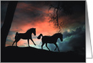 Pretty and Fun Horse Happy Birthday, Two Horses Southwestern Sky card