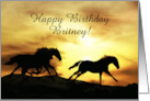 Horses Free and Wild Happy Birthday Customize with Name on Cover card