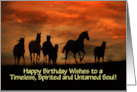 Birthday with Wild Horses Custom Cover card