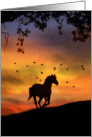 Horse Sympathy Card