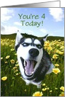 Happy Husky 4th Birthday Card, Custom Child Birthday Card, Cute 4th card