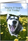 Happy Husky 5th Birthday Card, Customize, Personalize 5th Birthday card