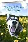 Happy Husky 6th Birthday Card Customizable card