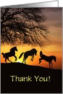 Thank you Jumping for Joy Horses Custom Text card