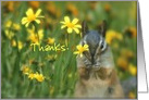 Thank you chipmunk with flower card