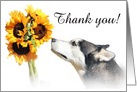 Thank you for pet sitting dog and sunflowers card