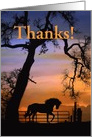 Thank you for pet sitting horse and oak tree card
