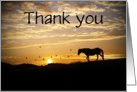 Thank you for the condolences sympathy horse in sunset card Customizab card