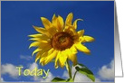 Thinking of you sunflower Customizable card