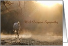 Loss of Horse Sympathy Customizeable Cover card