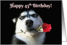 Happy Birthday Husky Dog With Rose 45th Birthday card