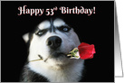 Happy Birthday Husky Dog With Rose 53rd Bday card
