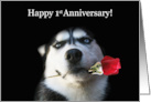 Happy 1st Anniversary Red Rose and Husky card