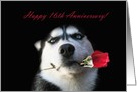 Happy 16th Anniversary Red Rose and Husky card