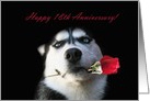 Happy 18th Anniversary Red Rose and Husky card