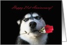 Happy 21st Anniversary Red Rose and Husky card