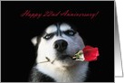 Happy 22nd Anniversary Red Rose and Husky card