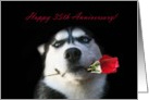 Happy 35th Anniversary Red Rose and Husky card