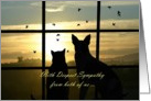 Sympathy card with dog and cat in the sunset from both of us card