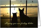 Cute Hoping You Are Feeling Better Cat and Dog in the Window card