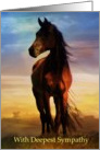 Horse sympathy card