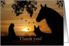 Thank you from Veterinarian card