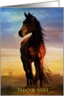 Horse thank you from veterinarian card