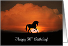 Happy 30th Birthday Horse in Sunset card