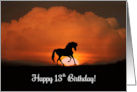 Happy 13th Birthday Horse in Sunset, Horse Thirteenth Birthday, 13 card