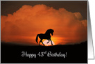 Happy 43rd Birthday Horse in Sunset card