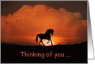Thinking of you horse in sunset card