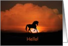 Hello Horse in Sunset card