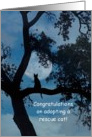 Congratulations on your rescue cat adoptions card