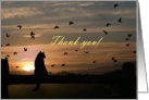 Thank you Veterinarian Cat in Sunset card