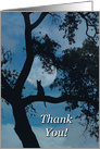 Thank you Veterinarian Cat in Tree and Moon card