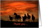 Thank you Veterinarian horses in the sunset card