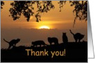 Thank you for volunteer at the animal shelter cats in sunset card