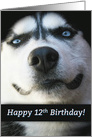 Happy 12th Birthday Smiling Husky Dog, Cute Kid’s 12th Birthday card