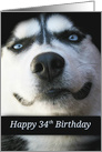 Pretty Happy 34th Birthday, Smile, Turning 34, Pretty Husky Dog card