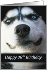 Cute Happy 36th Birthday, 36 Years Old, Cute Dog Birthday, Fun card